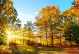 Temperaturile cresc și vremea devine caldă pentru data din calendar. Maximele ating 26 de grade