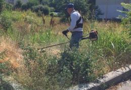 Conted Dorohoi angajează îngrijitor spații verzi