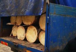 Material lemnos fără documente legale de transport confiscat la Șendriceni