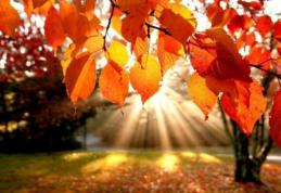 Un ciclon atlantic lovește România! Cum va fi vremea în weekend