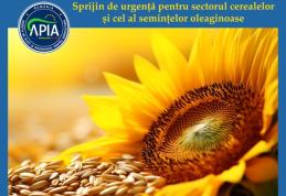APIA: Sprijinul de urgență pentru sectorul cerealelor și cel al semințelor oleaginoase – termen limită de depunere cereri – 26 octombrie 2023