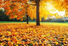 ANM a publicat prognoza meteo pentru următoarele două săptămâni: Vremea se menține deosebit de caldă toată săptămâna