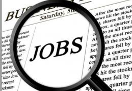 AJOFM Botoșani: Vezi locurile de muncă vacante în Uniunea Europeană