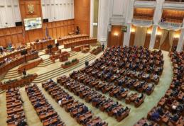 Deputații au stabilit că certificatele persoanelor cu handicap ireversibil devin permanente