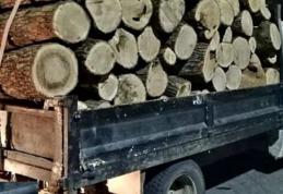 Polițiștii au sancționat un sucevean care transporta trei metri cubi de lemn fără a deține documente legale