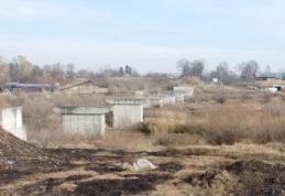 Construcţia podului peste Siret, de la Talpa, oprită ca să se protejeze specii de gândaci şi broaşte