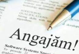 Bursa Locurilor de Muncă din Botoșani: 22 de absolvenți au fost încadrați pe loc, iar 53 de tineri au fost selectați pentru a da probe de lucru