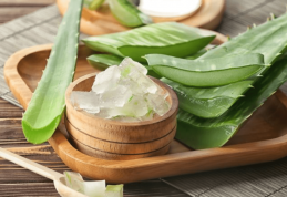 Beneficiile plantei aloe vera: bună de pus pe rană