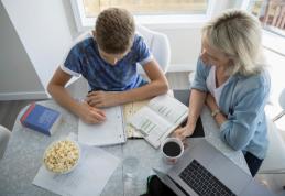 Profesorii care dau meditaţii intră în vizorul autorităților din 2024. Lista documentelor obligatorii