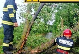 Codul Galben de intensificări ale vântului prelungit pentru județul Botoșani