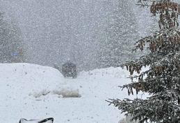 ANM a emis o estimare a valorilor termice pentru următoarele două săptămâni. Cum va fi vremea în minivacanța de 1 decembrie?