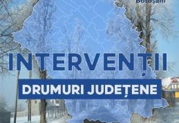 CJ Botoșani a întreprins toate demersurile pentru circulația în cele mai bune condiții pe drumurile județene