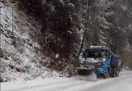 Ninsori abundente în zona montană a județului Suceava. Județul Botoșani se află sub atenționare de cod galben de ceață