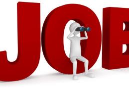 AJOFM Botoșani: 3.689 persoane și-au găsit un loc de muncă prin intermediul instituției