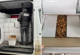 Două tone de miez de nucă confiscate la Mihăileni. Bărbatul intenționa să le comercializeze în județul Suceava