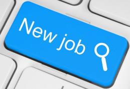 AJOFM Botoșani: Peste 200 de locuri de muncă disponibile în Uniunea Europeană