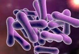 Boala extrem de contagioasă care afectează mucoasele