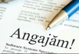 AJOFM Botoșani a publicat lista cu locurile de muncă. Sunt peste 100 de joburi disponibile