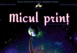 „Micul Prinț” – Primul spectacol din anul 2024 la Teatrul „Vasilache” Botoșani