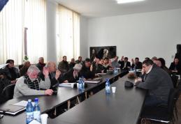 CL Dorohoi [VIDEO]: Prima ședință ordinară din 2012 cu scântei și foc