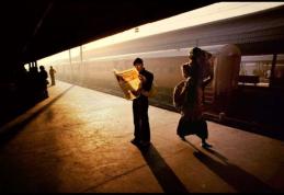 Descoperă universul documentarelor: Educație, inspirație și realități profunde