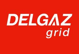 Compania de distribuție Delgaz Grid a lansat Ghidul prosumatorului