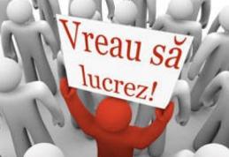 Aproape 4000 de persoane s-au angajat, prin intermediul AJOFM Botoșani, pe parcursul anului trecut
