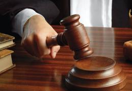 Doi bărbați trimiși în judecată după ce unul a ucis o pisică și celălalt a călcat cu mașina mai multe ovine