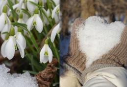 Vine primăvara în România! Vor fi 20 de grade în următoarele zile