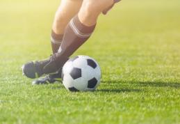 Liga 1, etapa a XXIV-a. FC Botoșani deschide etapa, pe teren propriu, în derby-ul Moldovei