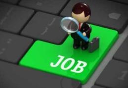 Locurile de muncă vacante în această săptămână la nivelul județului Botoșani