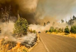 Oamenii de știință avertizează asupra unei catastrofe climatice. Luna ianuarie a fost cea mai caldă din toate timpurile