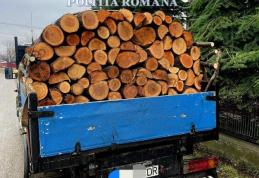 Material lemnos confiscat la Ștefănești