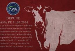 APIA: Se depun cereri de solicitare de ajutor de stat pentru susținerea activității crescătorilor din sectorul bovinelor de carne și al bubalinelor