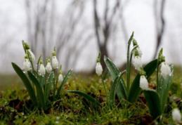Prognoza meteo pentru următoarele patru săptămâni! Cum va fi vremea în luna martie