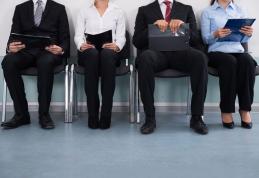 Creștere ușoară a ratei șomajului înregistrat în evidențele AJOFM Botoșani. Vezi distribuția șomerilor pe diferite niveluri de pregătire!