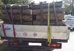 Aproximativ 8 metri cubi de material lemnos confiscat de polițiștii din Dorohoi