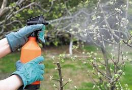 Cele mai bune soluții naturale cu care să stropești pomii primăvara pentru a avea o recoltă bogată tot anul