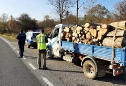 Lemne confiscate și amendă de 1.000 lei
