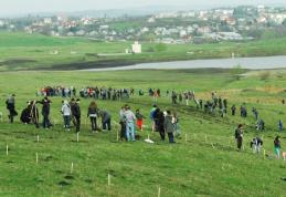 Acțiune de plantare la  Dorohoi! Voluntarii vor planta 20.000 de puieți