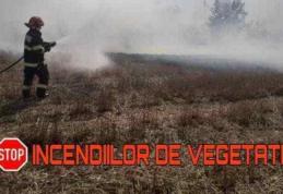 Cinci incendii de vegetație în ultimele două zile