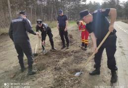 Pompierii dorohoieni s-au alăturat unei acțiuni de voluntariat demarată de Primăria Dorohoi - FOTO