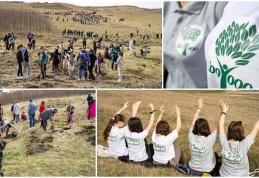 Polonicul nostru, mai verde ca oricând! Voluntarii au plantat peste 20.000 de puieți la Dorohoi - FOTO