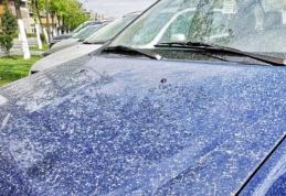 Un nor de praf din Sahara „excepțional de dens” ajunge în Europa. Vor fi depășite limitele maxime privind calitatea aerului