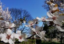 Un val de aer rece lovește România. Prognoza meteo ANM