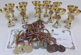 Rezultate deosebite obținute de elevii Școlii Profesionale „Sf. Ap. Andrei” Smârdan la olimpiadele școlare de la Limba și literatura română