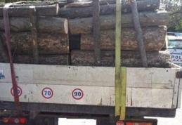 Sancțiune de 2.000 de lei și material lemnos confiscat