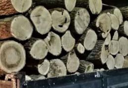 Material lemnos fără documente legale confiscat la Mihăileni