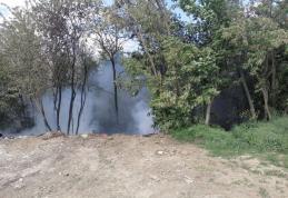 Aproximativ 50 de tone de deșeuri plastice, menajere și vegetale au ars în comuna Hudești