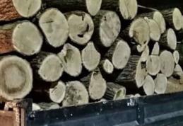 Material lemnos fără documente confiscat la Cordăreni